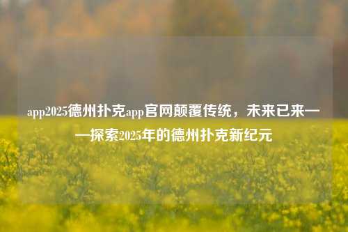 app2025德州扑克app官网颠覆传统，未来已来——探索2025年的德州扑克新纪元
