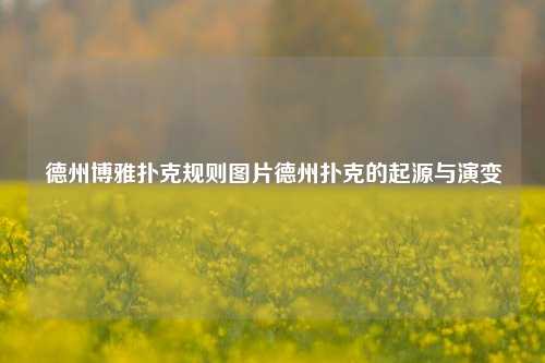 德州博雅扑克规则图片德州扑克的起源与演变