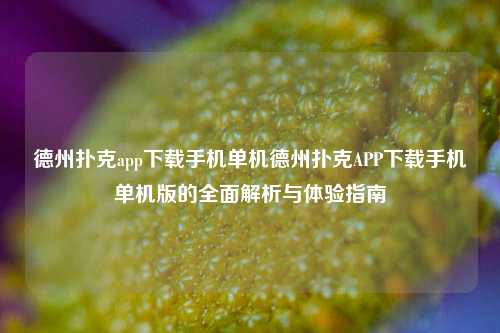 德州扑克app下载手机单机德州扑克APP下载手机单机版的全面解析与体验指南