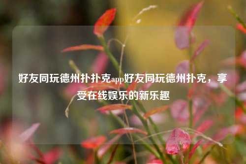 好友同玩德州扑扑克app好友同玩德州扑克，享受在线娱乐的新乐趣