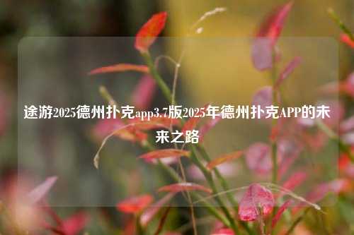 途游2025德州扑克app3.7版2025年德州扑克APP的未来之路