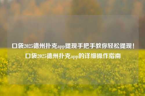 口袋2025德州扑克app提现手把手教你轻松提现！口袋2025德州扑克app的详细操作指南