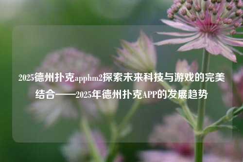 2025德州扑克apphm2探索未来科技与游戏的完美结合——2025年德州扑克APP的发展趋势