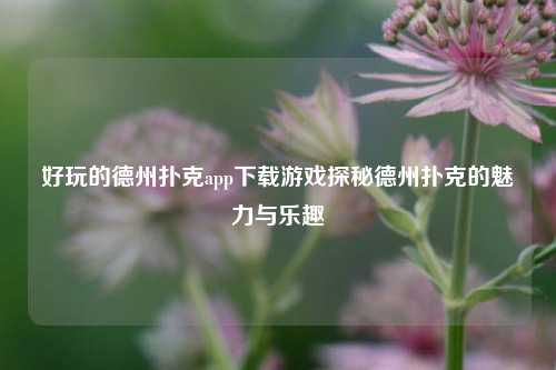 好玩的德州扑克app下载游戏探秘德州扑克的魅力与乐趣