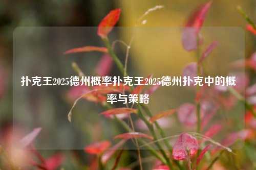 扑克王2025德州概率扑克王2025德州扑克中的概率与策略