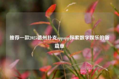 推荐一款2025德州扑克appapp探索数字娱乐的新篇章