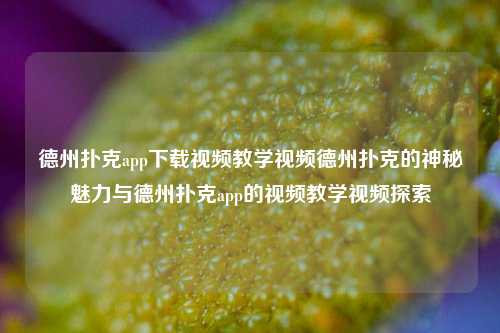 德州扑克app下载视频教学视频德州扑克的神秘魅力与德州扑克app的视频教学视频探索