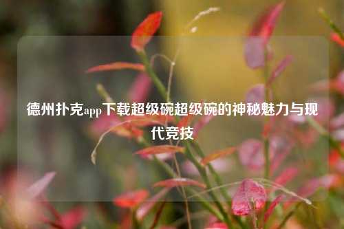 德州扑克app下载超级碗超级碗的神秘魅力与现代竞技