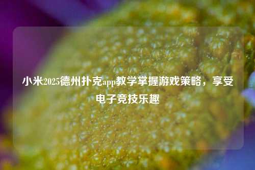 小米2025德州扑克app教学掌握游戏策略，享受电子竞技乐趣