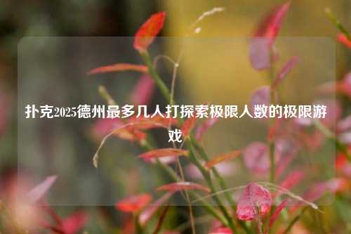扑克2025德州最多几人打探索极限人数的极限游戏