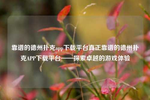 靠谱的德州扑克app下载平台真正靠谱的德州扑克APP下载平台——探索卓越的游戏体验