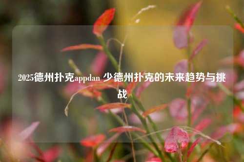 2025德州扑克appdan 少德州扑克的未来趋势与挑战