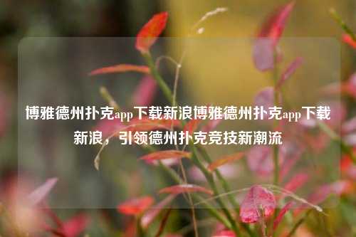 博雅德州扑克app下载新浪博雅德州扑克app下载新浪，引领德州扑克竞技新潮流