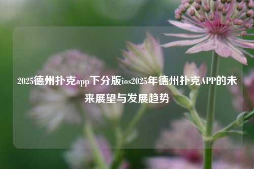 2025德州扑克app下分版ios2025年德州扑克APP的未来展望与发展趋势