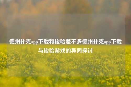 德州扑克app下载和梭哈差不多德州扑克app下载与梭哈游戏的异同探讨