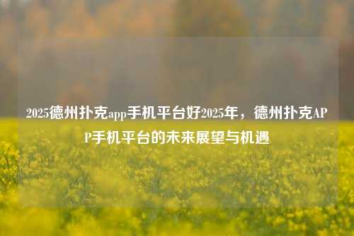 2025德州扑克app手机平台好2025年，德州扑克APP手机平台的未来展望与机遇