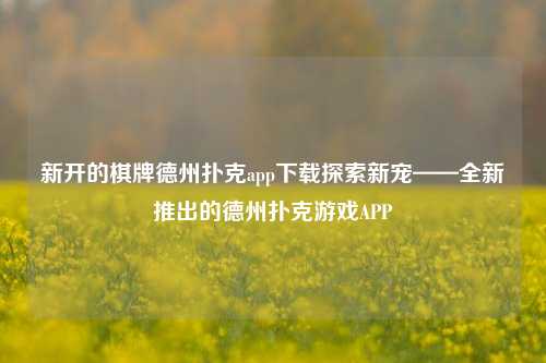 新开的棋牌德州扑克app下载探索新宠——全新推出的德州扑克游戏APP