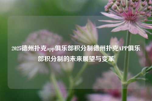 2025德州扑克app俱乐部积分制德州扑克APP俱乐部积分制的未来展望与变革