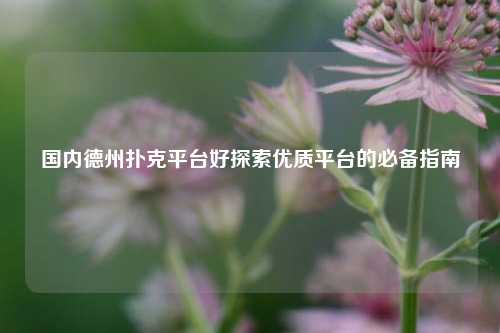 国内德州扑克平台好探索优质平台的必备指南