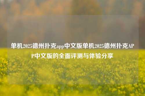 单机2025德州扑克app中文版单机2025德州扑克APP中文版的全面评测与体验分享