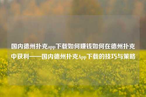国内德州扑克app下载如何赚钱如何在德州扑克中获利——国内德州扑克App下载的技巧与策略