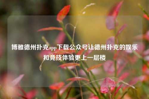 博雅德州扑克app下载公众号让德州扑克的娱乐和竞技体验更上一层楼