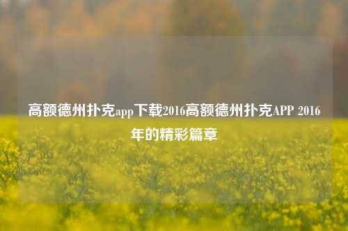高额德州扑克app下载2016高额德州扑克APP 2016年的精彩篇章