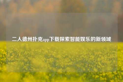 二人德州扑克app下载探索智能娱乐的新领域