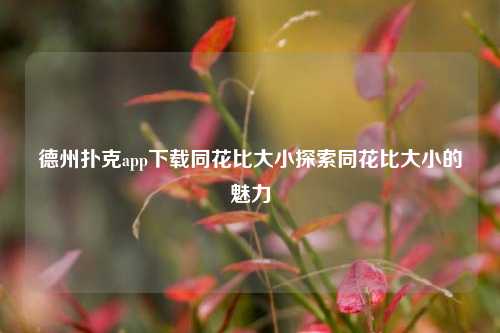 德州扑克app下载同花比大小探索同花比大小的魅力