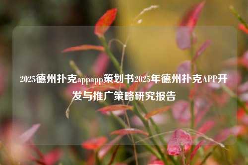 2025德州扑克appapp策划书2025年德州扑克APP开发与推广策略研究报告
