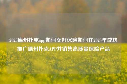 2025德州扑克app如何卖好保险如何在2025年成功推广德州扑克APP并销售高质量保险产品