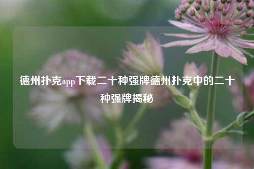 德州扑克app下载二十种强牌德州扑克中的二十种强牌揭秘