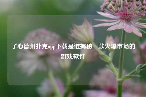 了心德州扑克app下载是谁揭秘一款火爆市场的游戏软件