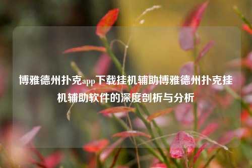 博雅德州扑克app下载挂机辅助博雅德州扑克挂机辅助软件的深度剖析与分析