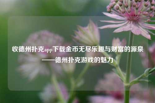收德州扑克app下载金币无尽乐趣与财富的源泉——德州扑克游戏的魅力