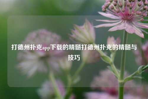 打德州扑克app下载的精髓打德州扑克的精髓与技巧